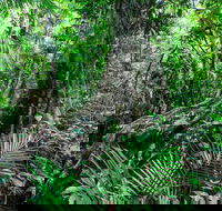 Djiru National Park - Tourism Brisbane