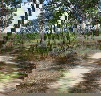 Djukbinj National Park - Tourism Brisbane