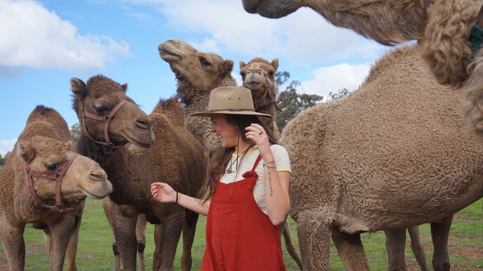 Morangup WA Tourism Brisbane