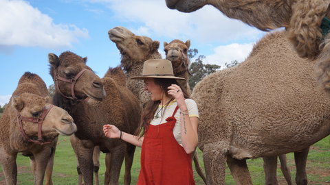 DromeDairy Body And Skin - Tourism Brisbane 0