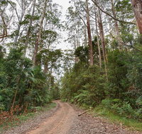 End Peak walking track - Tourism Brisbane