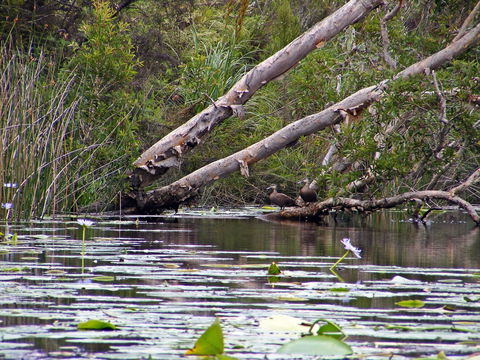 Esk River - Tourism Brisbane 1
