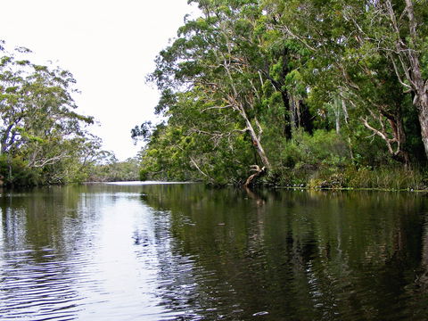 Esk River - Tourism Brisbane 2