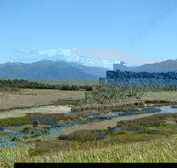 Eubenangee Swamp National Park - Tourism Brisbane