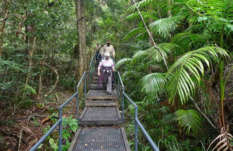 Falls Walking Track - Brisbane Tourism 0