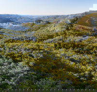 Gold Coast Hinterland Great Walk - Tourism Brisbane