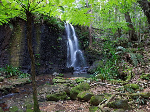 Gold Coast Hinterland Great Walk - Tourism Brisbane 1