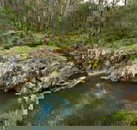 Gorge Walking Track - Tourism Brisbane