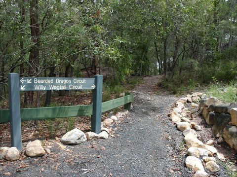Haig Street Quarry Bushland Reserve Trails - Brisbane Tourism 1