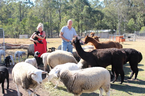 Haigslea EWE Nique Hobby Farm - Brisbane Tourism 0