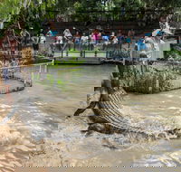 Hartley's Crocodile Adventures - Tourism Brisbane