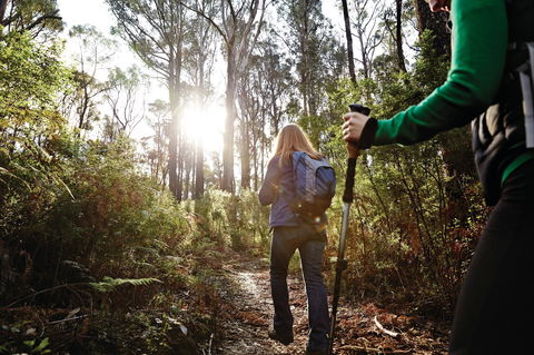 Kinglake National Park - Tourism Brisbane 0