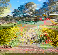 Kingaroy Rotary Park - Tourism Brisbane