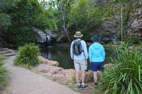 Kondalilla Falls Circuit, Kondalilla National Park - Tourism Brisbane 1