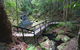 Kondalilla Falls Circuit, Kondalilla National Park - thumb 2