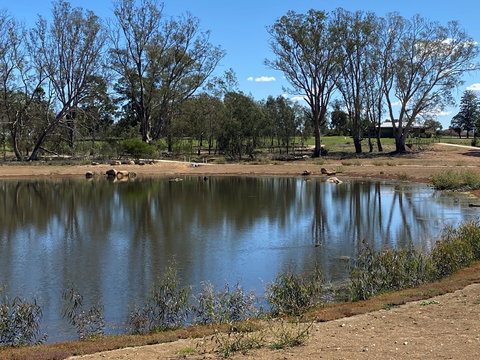 Lake King Wetlands At Rutherglen - Brisbane Tourism 0