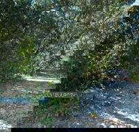 Lillypilly loop trail - Tourism Brisbane