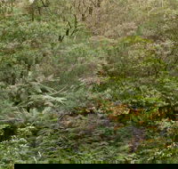 Lind National Park - Tourism Brisbane
