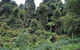 Lind National Park - thumb 1