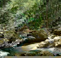 Maleny - Brisbane Tourism