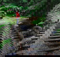 Montezuma Falls - Brisbane 4u