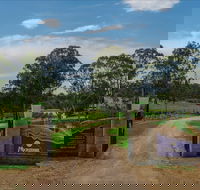 Moorebank Vineyard - Brisbane Tourism