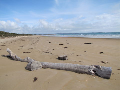Narawntapu National Park - Tourism Brisbane 2