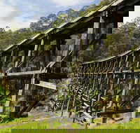 Noojee Trestle Bridge - Tourism Brisbane