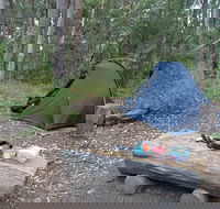 Northbrook Mountain Bush Camp - Brisbane Tourism