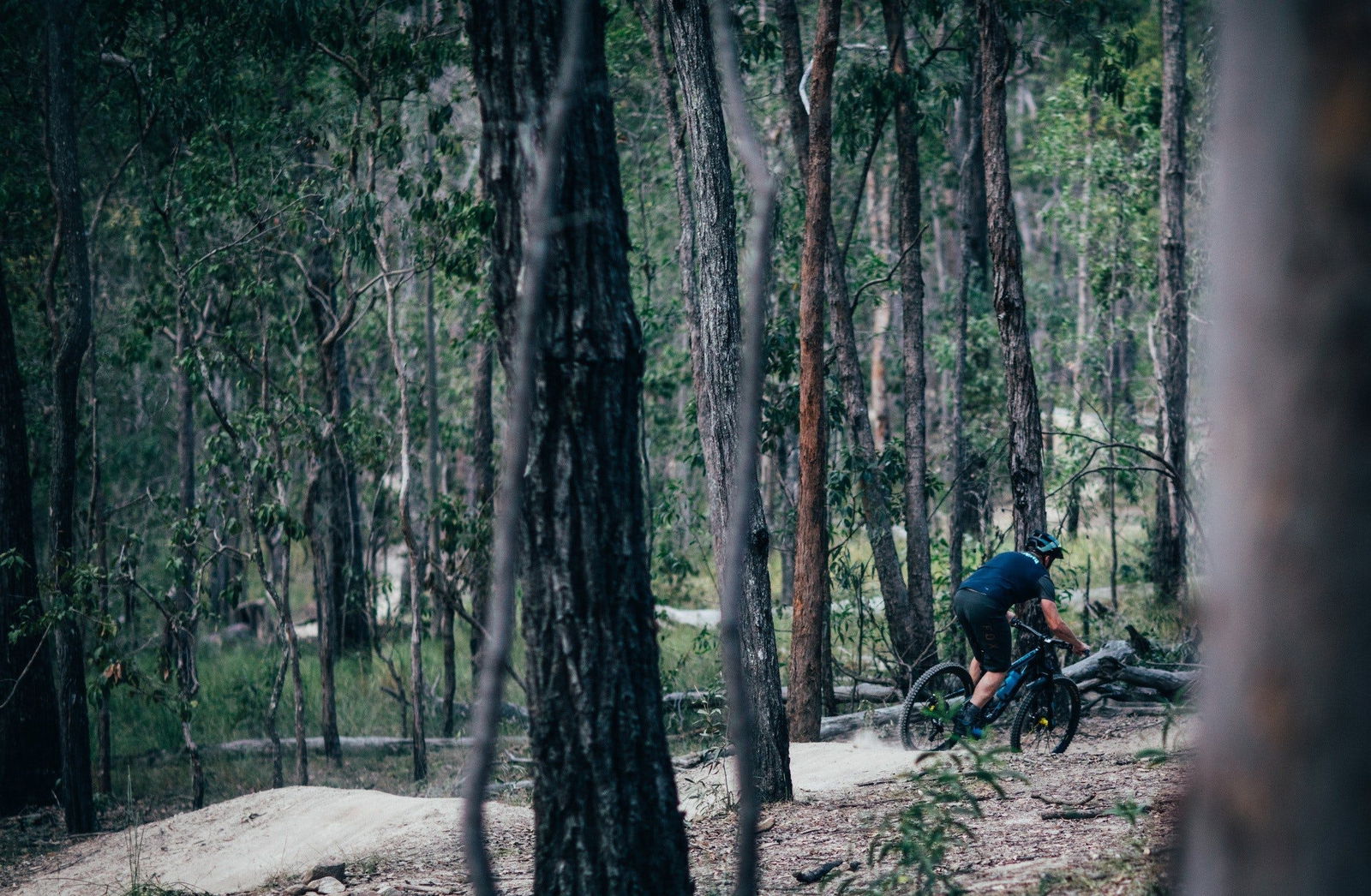 Wongawallan QLD Tourism Brisbane