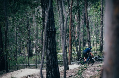 Old Tambo Downhill Mountain Bike Track - Tourism Brisbane 0