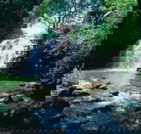 Pepina Falls - Tourism Brisbane