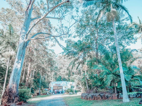 Phillips Gallery - Tourism Brisbane 0