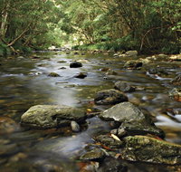 Plateau Circuit Loop Trail - Tourism Brisbane