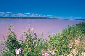 Book Gregory WA Attractions Tourism Brisbane Tourism Brisbane