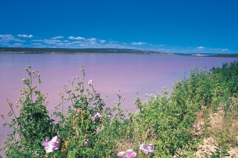 Port Gregory - Tourism Brisbane 0