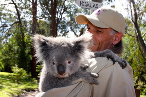 Potoroo Palace Native Animal Sanctuary - Brisbane Tourism 2