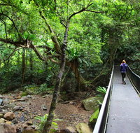 Rainforest Loop Walk Budderoo National Park - Tourism Brisbane