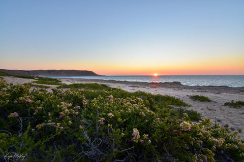 Red Bluff At Quobba Station - Tourism Brisbane 0