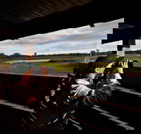 Reed Beds Bird Hide Boardwalk - Tourism Brisbane