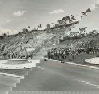 Rockhampton Bull Statues - Tourism Brisbane