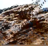 Rock Climbing in Morialta - Tourism Brisbane