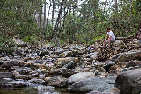 Rocksberg Park Heritage Reserve - Tourism Brisbane 0