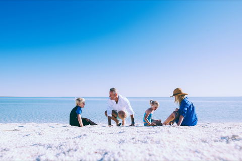 Shell Beach - Brisbane Tourism 1