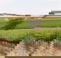 Smidge Wines Tasting Room - Tourism Brisbane