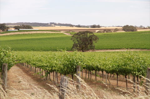Smidge Wines Tasting Room - Tourism Brisbane 0