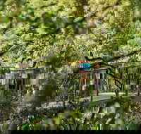 Tamborine Mountain - Tourism Brisbane
