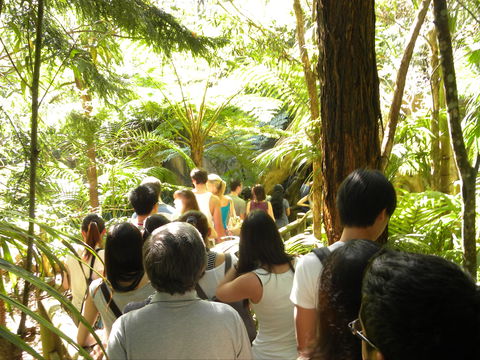 Tamborine Mountain Glow Worm Tours - Tourism Brisbane 1