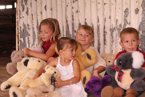 Tambo Teddies - Tourism Brisbane 0