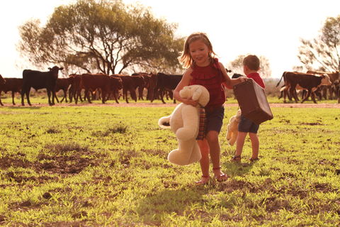 Tambo Teddies - Tourism Brisbane 1